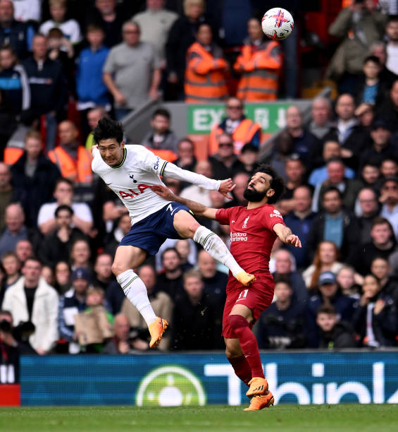 不仅对主教 不仅对主教