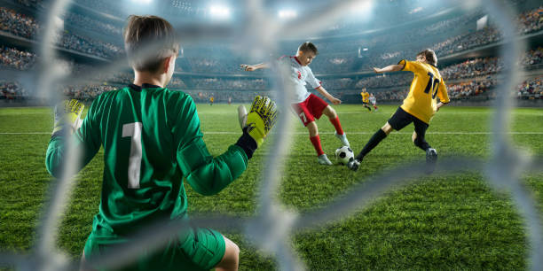 涯规划的全 涯规划的全